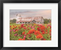 Framed Vermont Flowers