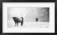 Framed Oreos and Milk III