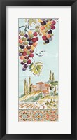 Tuscan Breeze IV Framed Print