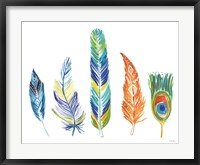 Rainbow Feathers III Framed Print