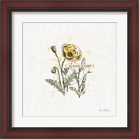 Framed 'Thoughtful Blooms III' border=