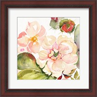 Framed 'Desert Rose III' border=