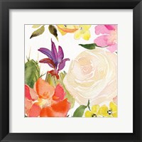 Framed Desert Rose I