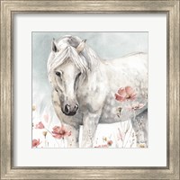 Framed 'Wild Horses V' border=