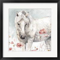 Wild Horses V Framed Print