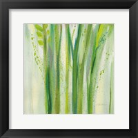 Longstem Bouquet II Square III Framed Print