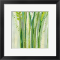 Framed 'Longstem Bouquet II Square III' border=