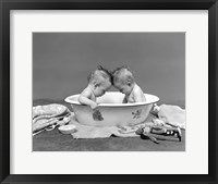 Framed 1930s Twin Babies In Bath Tub