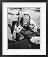 Framed 1930s Very Old Chimpanzee