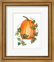 Framed 'Pumpkin and Vines IV' border=