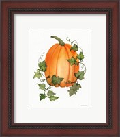 Framed 'Pumpkin and Vines IV' border=