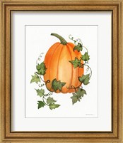 Framed 'Pumpkin and Vines IV' border=