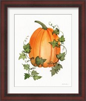 Framed 'Pumpkin and Vines IV' border=