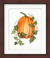 Framed 'Pumpkin and Vines IV' border=