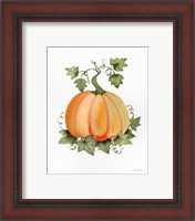 Framed 'Pumpkin and Vines II' border=