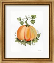 Framed 'Pumpkin and Vines II' border=