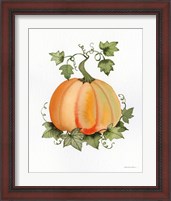 Framed 'Pumpkin and Vines II' border=