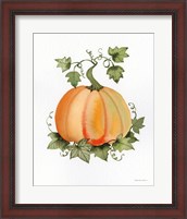 Framed 'Pumpkin and Vines II' border=