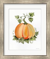 Framed 'Pumpkin and Vines II' border=