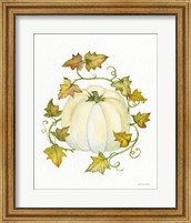 Framed 'Pumpkin and Vines III' border=