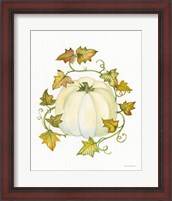 Framed 'Pumpkin and Vines III' border=