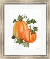 Framed 'Pumpkin and Vines I' border=