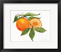 Framed Citrus Garden V