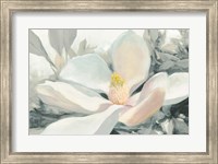 Framed Majestic Magnolia Green Gray Crop