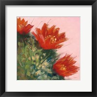 Blooming Succulent IV Framed Print