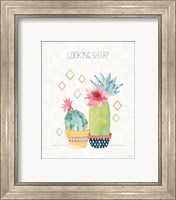 Framed 'Sweet Succulents III' border=