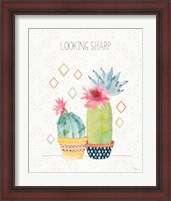 Framed 'Sweet Succulents III' border=