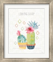 Framed 'Sweet Succulents III' border=