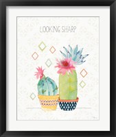 Framed 'Sweet Succulents III' border=