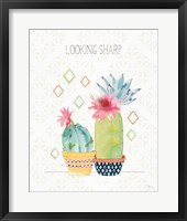 Framed 'Sweet Succulents III' border=