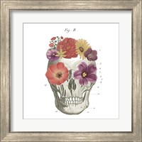 Framed 'Floral Skull II' border=