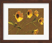 Framed Sunny Flowers III