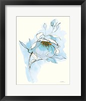 Carols Roses V Blue Framed Print