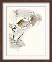 Framed Carols Roses II Taupe