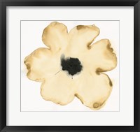 Suede Fleur II Framed Print