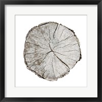 Woodland Years I on White Framed Print