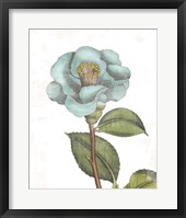 Bloemen Boek V on White Framed Print