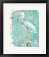 Framed Coastal Egret II