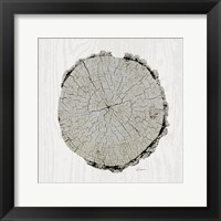 Woodland Years II with Silver v2 Framed Print