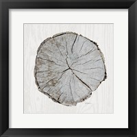 Woodland Years I with Silver Framed Print