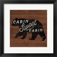 Lake Lodge IV Framed Print