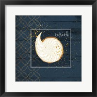 Refresh Shell Framed Print