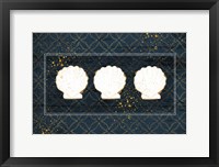 Shells Framed Print