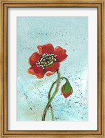 Framed Poppies II