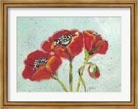 Framed Poppies III