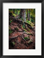 Framed Sentinels Along Our Path